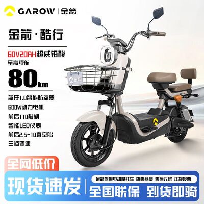 金箭酷行电动车长续航成人代步电动轻便摩托车时尚复古两轮电瓶车
