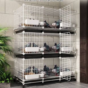 鸽子笼家用特大号养鸽子专用笼巢箱新型养殖柯尔鸭配对笼鸽舍鸽笼
