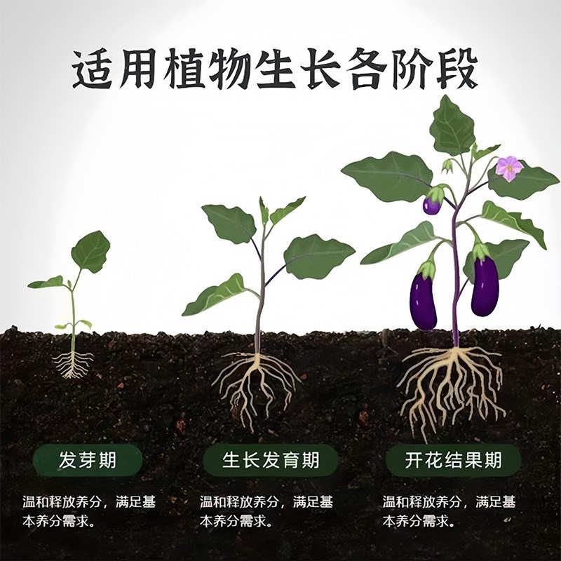 植物营养棒缓释肥料盆栽花卉家用养花通用型营养液片绿植土壤花草
