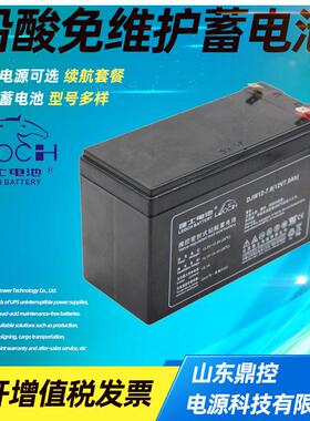 LOCH理士PL190FT(铅A)狭长型阀控酸蓄电池免12V190APLH190FTH倍率