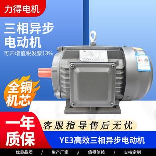 132W三相异步电动机立卧式 铜线电机6级电机三相电机 315M YE3