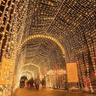 户外IP44防水串灯LED太阳能灯串300L圣诞节日彩灯小灯庭院装 饰灯