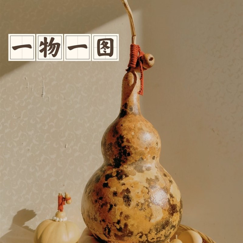 一物一图中号八宝花皮葫芦家居摆件带皮胖墩葫芦实物图
