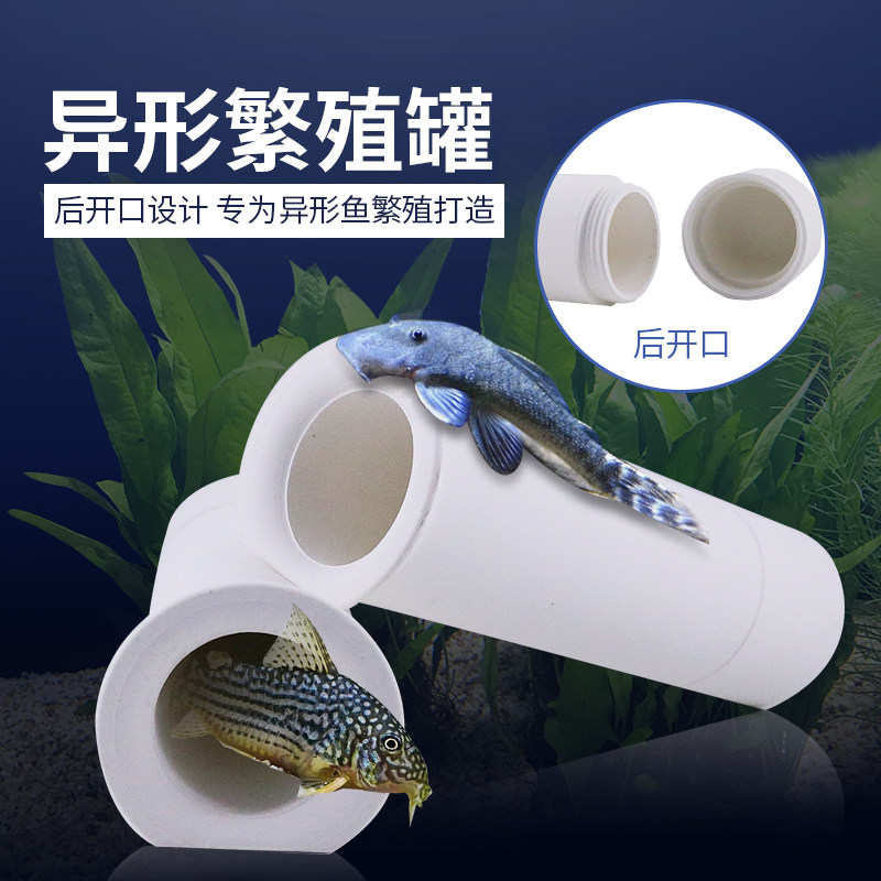 黄金胡子大异鱼熊猫迷宫异形繁殖罐帆型后开殖躲藏罐陶罐繁口屋