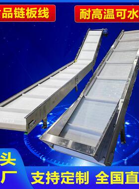 不锈钢POM食品传送带PP塑料链板输送机蔬果分拣清洗耐腐蚀提升机