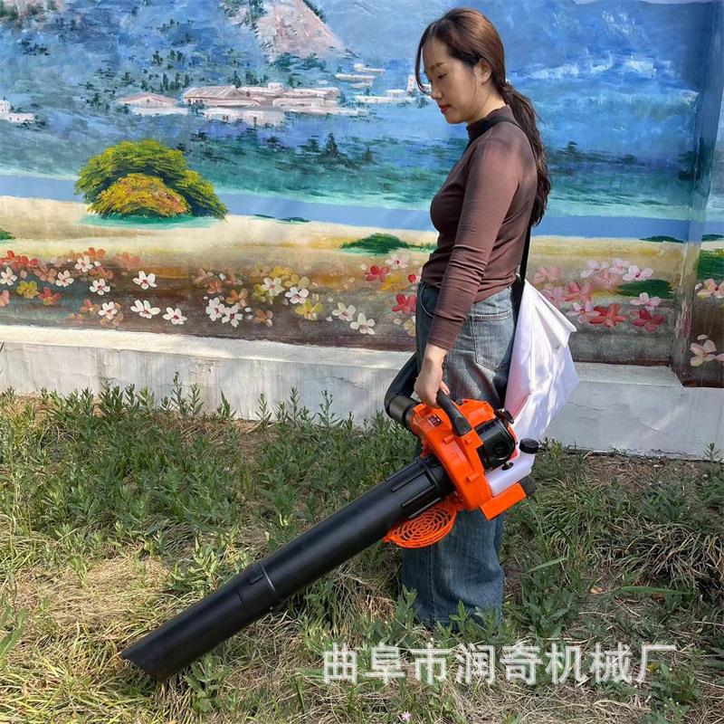 手提式落叶粉碎清理收集吹吸机 小型手持式粉尘大枣吹叶鼓风机