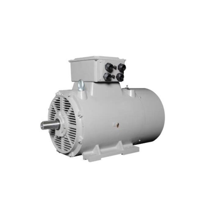 优势供应德国Lammers低压交流电机中高压电机等全系列产品