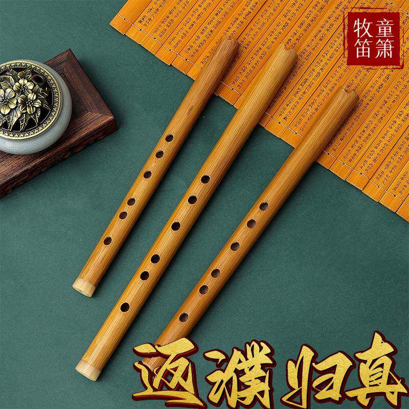 短萧入门洞箫便携苦竹高级迷你小笛子古风六F调初学萧乐器零基础
