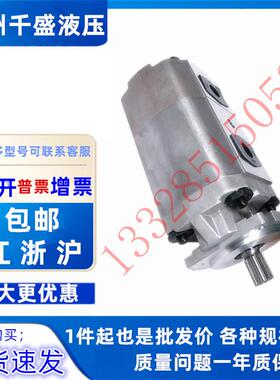 合肥长源双联齿轮泵CBKP100/10080/6350/403225/20-BFP/BFHL