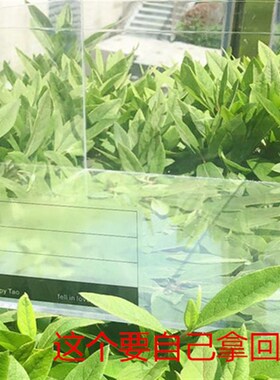 定制亚克力鞋盒整理盒收纳男女款盒子化妆篮收藏34x26x21cm