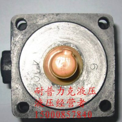 泵量1YB、Y叶片泵-、Y-液压油、Y10 4B2.516B1-1B- 定