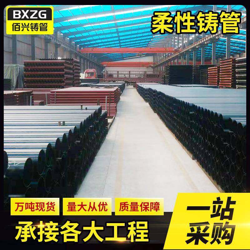 机制铸铁管件W双弯铸铁管配件W型双45度弯排水管高层专用侧排,鲜花速递/花卉仿真/绿植园艺,割草机/草坪机,淘宝优惠券,粉丝福利购,淘宝优惠卷