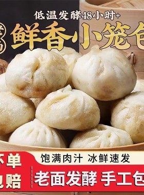 杭州小笼包灌汤包薄皮鲜肉老面包子家庭装冷冻速食懒人早餐包批发