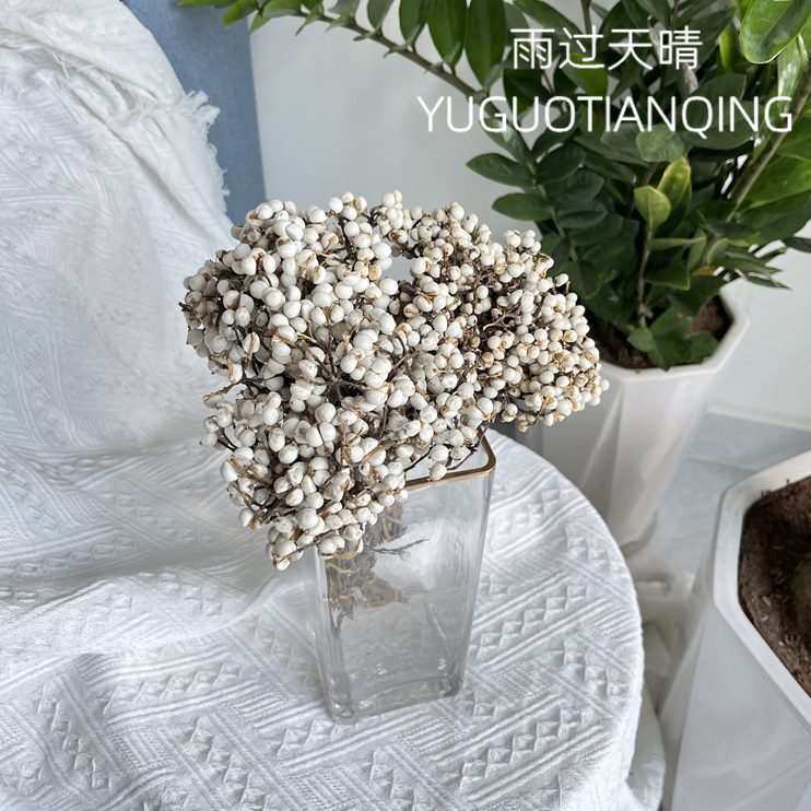 果果干冬实花北欧风小白乌桕果菇果薏仁干花真花干树枝装饰草花束