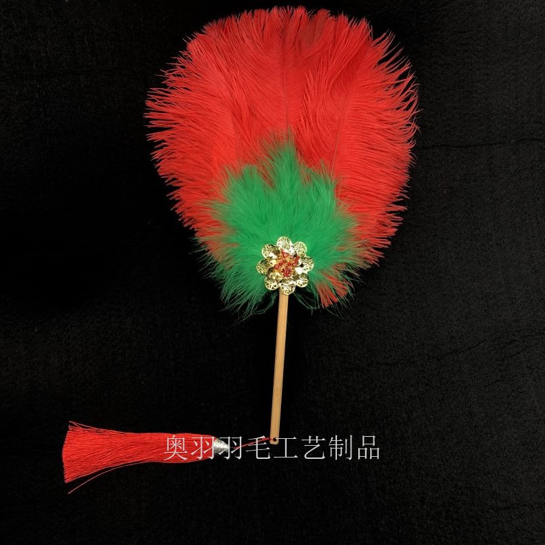 中国风扇子  鸟拍照 鸵羽毛扇工艺扇/团扇/喜扇/