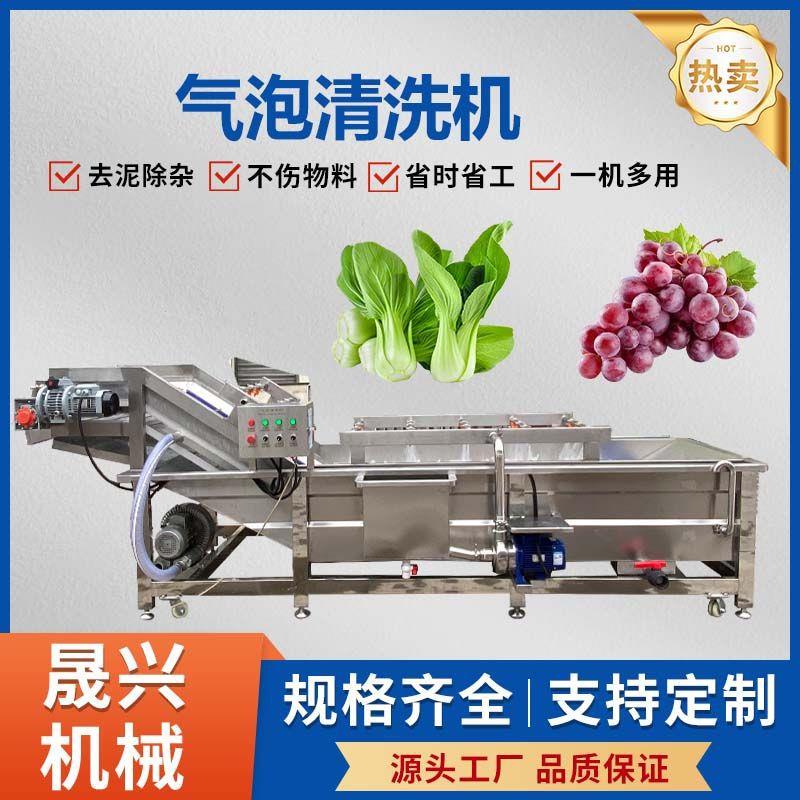 果蔬气泡清洗机小油菜荠菜葡萄蓝莓清洗机酱菜猫条包装袋清洗机