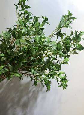 马醉木仿真花假绿植室内造景客厅落地摆件日本吊钟马醉木单枝装饰