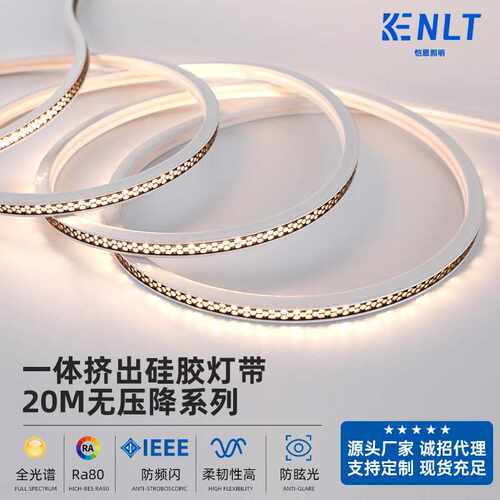 现货硅胶霓虹灯带氛围灯客厅橱柜户外防水led灯带led灯条