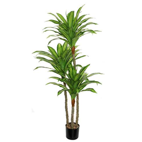 仿真巴西铁树PE软胶材质150cm仿真树绿色植物盆栽场景装扮
