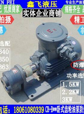 WBZ-CB-B40B50B63卧式齿轮油泵防爆电机组2.2KWYB3-100L-4