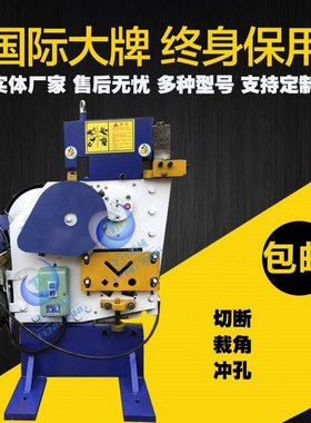 丰行 幕墙干挂槽钢切断冲孔一体机 联合冲剪机 多功能角钢剪切机