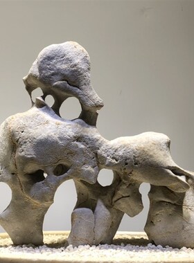 天然原石太湖石奇石观赏石石缸摆件假山观头景鱼石盆景园林灵璧石