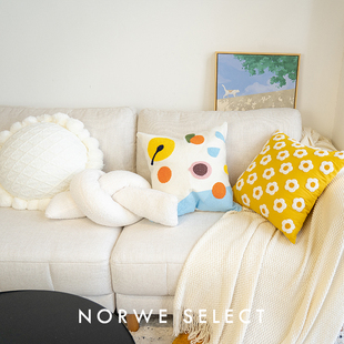 抱枕ns风女生可爱花朵客厅沙发靠垫腰靠民宿飘窗床头靠垫枕