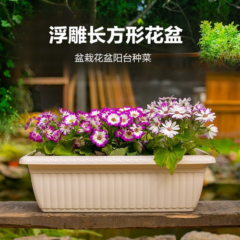 花盆大号长方形塑料阳台种菜花盆花槽加厚草莓菜盆,鲜花速递/花卉仿真/绿植园艺,花盆,淘宝优惠券,粉丝福利购,淘宝优惠卷