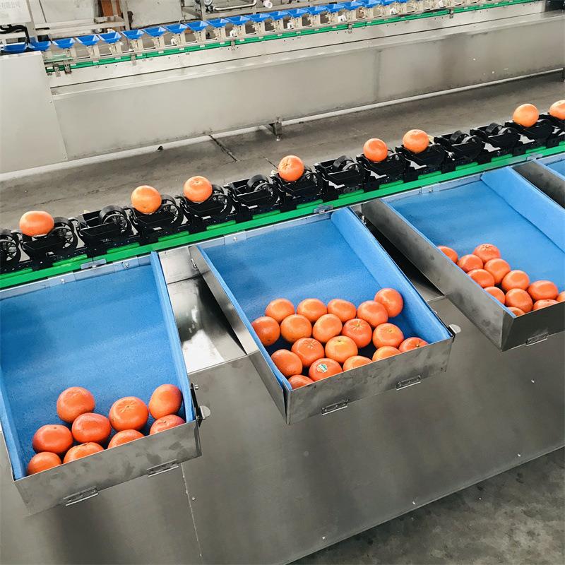 手剥橙量选QBS果机 绿重橙自肉制品加工设备