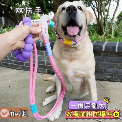 加粗加厚大狗牵引绳防爆冲脖圈拉布拉多P链大型犬结实狗链 双层绳