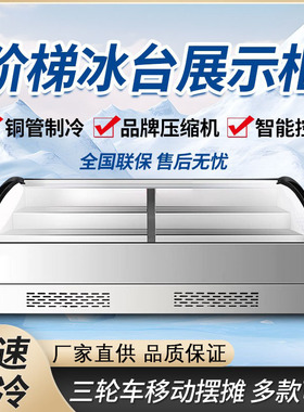台式阶梯冰台展示柜商用三轮车移动摆摊炸串夜市冷藏冷冻保鲜冰柜