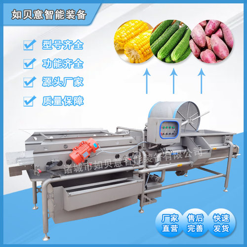 切割蔬菜清洗机 净菜加工涡流清洗流水线 土豆丝去淀粉清洗机