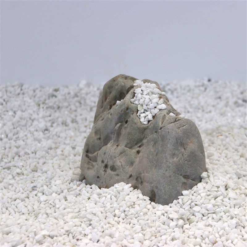 白石子装饰松树多肉花盆铺地园林枯山水白色小石头造景装饰,鲜花速递/花卉仿真/绿植园艺,仿真花,淘宝优惠券,粉丝福利购,淘宝优惠卷