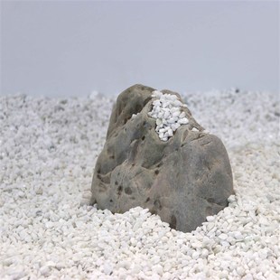 白石子装饰松树多肉花盆铺地园林枯山水白色小石头造景装饰