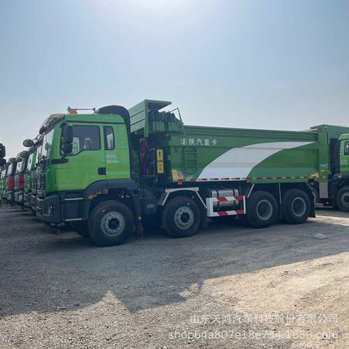 境外59供应陕4汽土德龙前四后八 渣车8X后翻自卸卡车R eardump tr