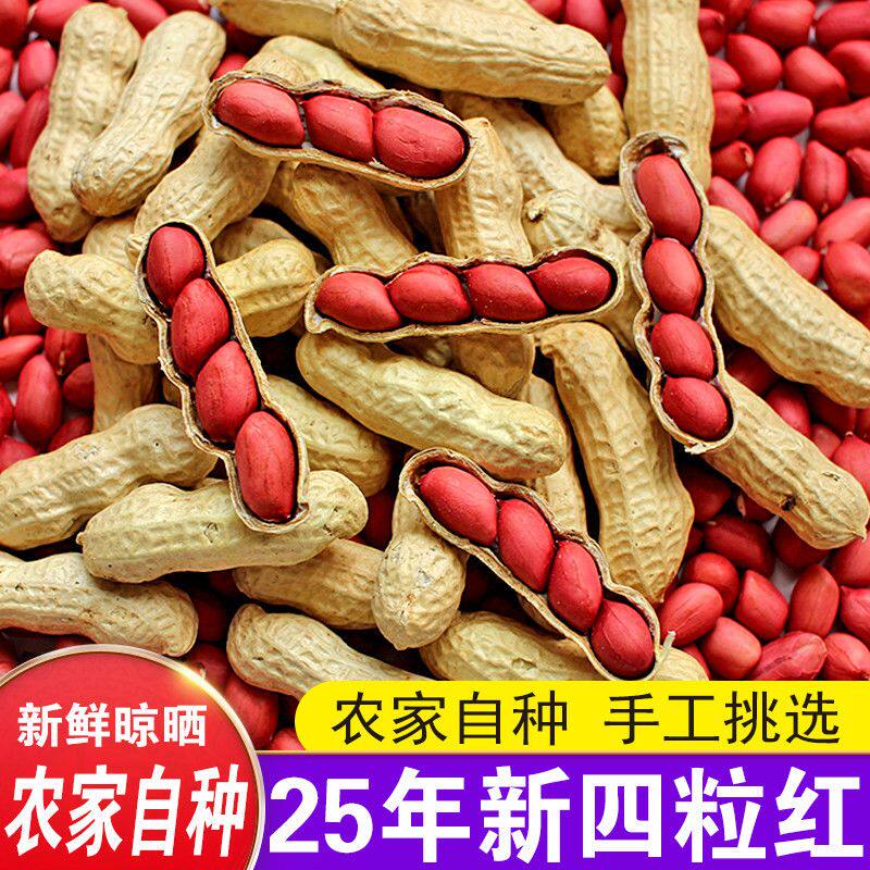 【超值】25年新货带壳红皮花生生花生四粒红花生红衣花生批发晒干