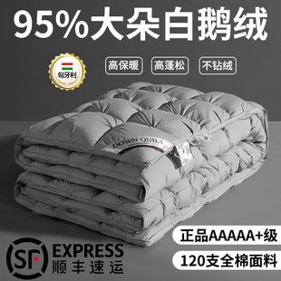 加冬保暖 羽绒冬95白鹅绒厚被子单人酒店春秋冬天全棉被芯被季