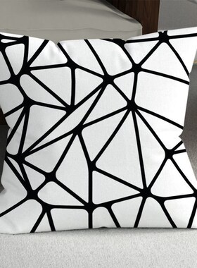 坐垫套子不含芯网红爆款抱枕套靠枕套大尺寸沙发保证抱枕纹理线条