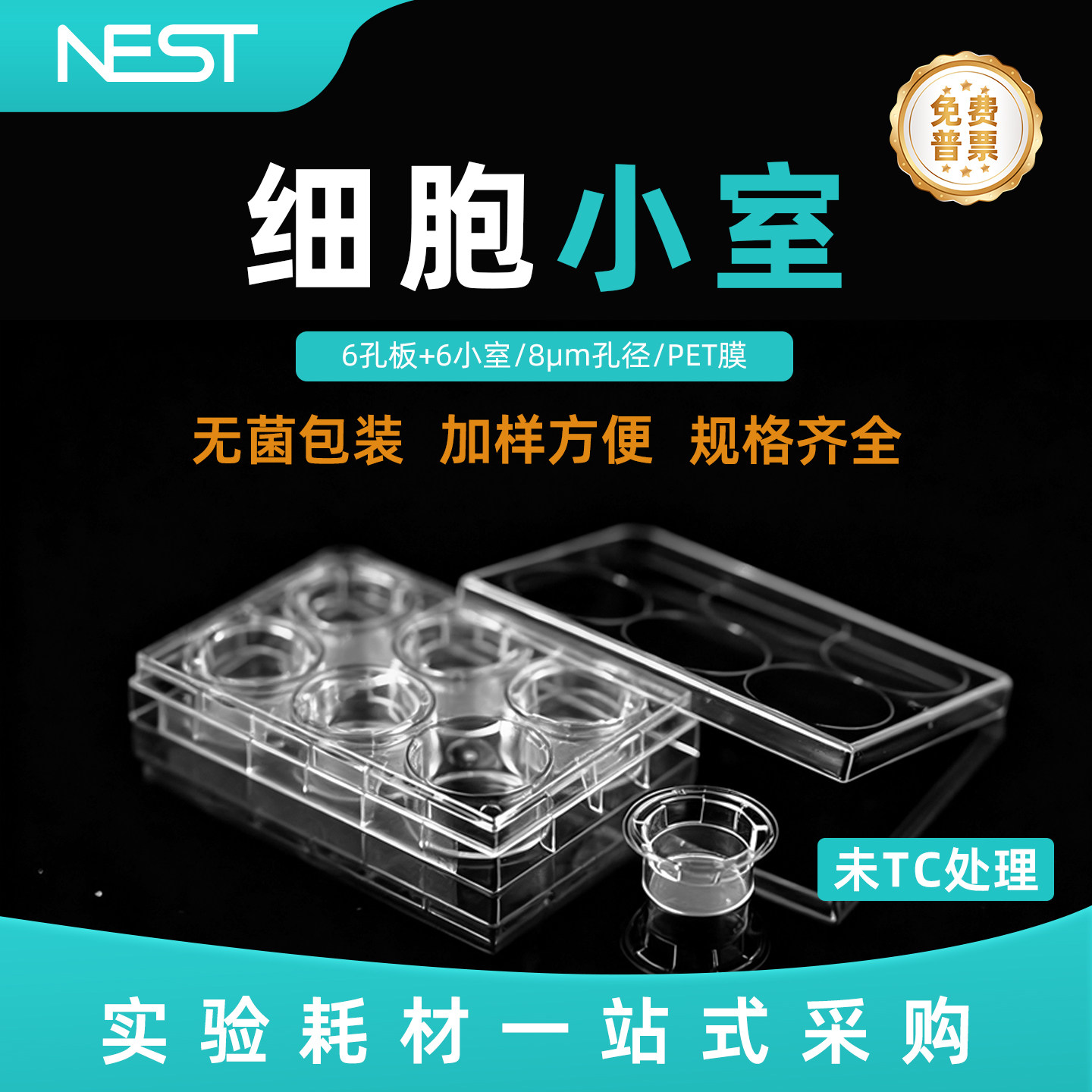 耐思6孔PET膜8um小室板未TC处理