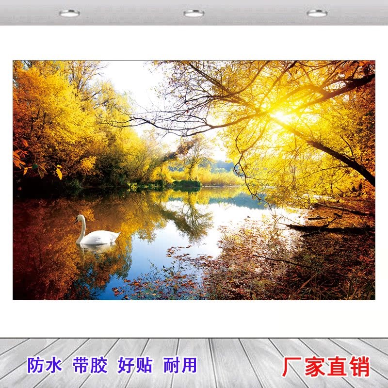 大白鹅现代装饰画广告贴纸家禽海报壁画背景贴画鸡鸭鹅防水壁纸图图片