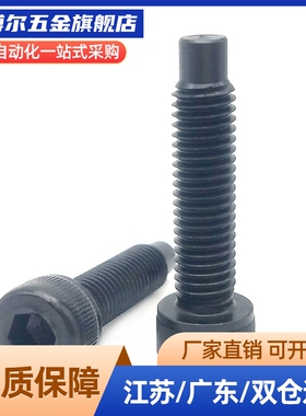 BPRL10-M16圆柱头内六角球头柱塞 杯头螺栓型波珠螺丝ZC108