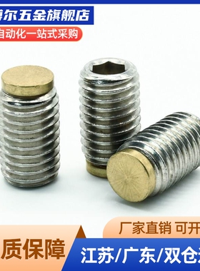 内六角铜头止动螺栓 (TDA31) 肩型缓冲动螺栓替代SBCPS8-10