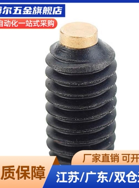 内六角铜头止动螺栓 (TDA31) 肩型缓冲动螺栓替代SBCPS8-10