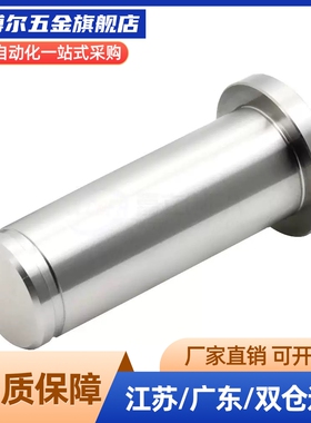 带肩铰链销MIC06/MIT01/02/03/04/05/11/16-4/D5/D6/D8/D10/12/21