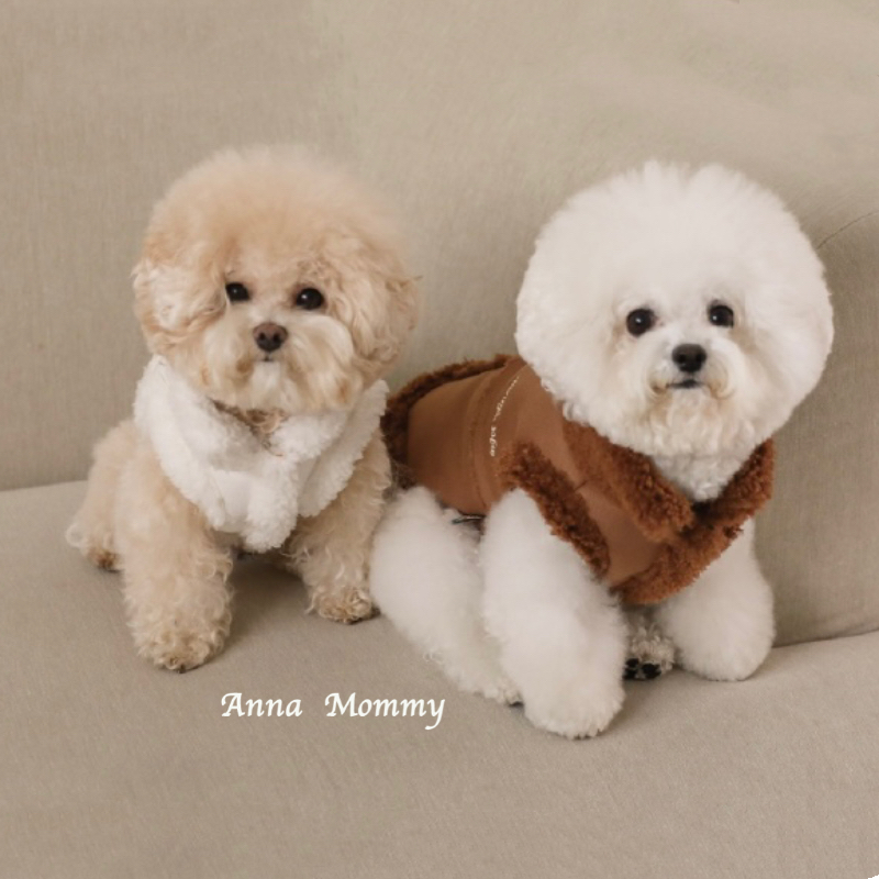 小狗狗衣服秋冬装新款桃皮绒马甲宠物猫咪加绒棉衣泰迪比熊小型犬