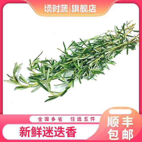 新鲜迷迭香250g 迷失香可食用牛排西餐烧烤香料调料 5件顺丰包邮