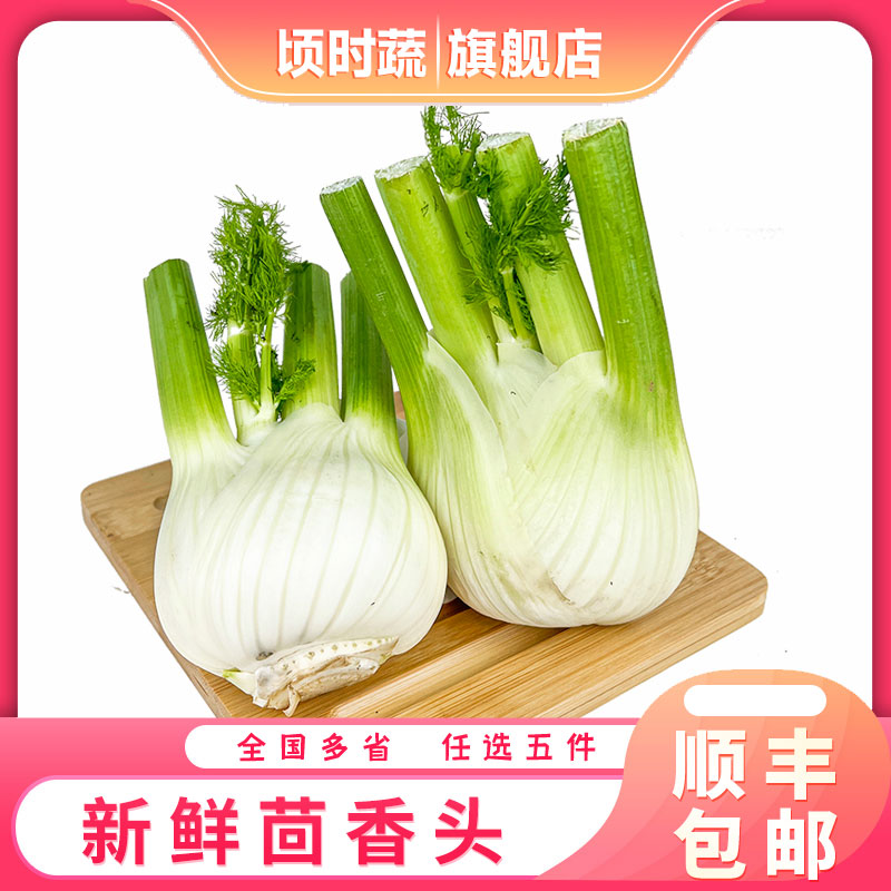 新鲜茴香头约1斤 茴香根茴香球其它