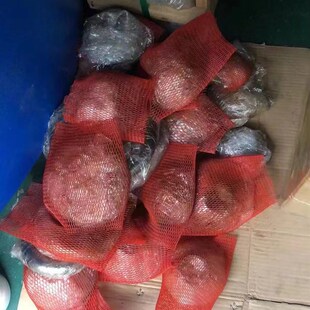 盾构机注浆蘑菇头DN100 DN125 DN150 DN210