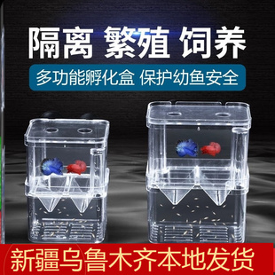 小孵化盒斗鱼繁殖玛丽鱼缸待产怀孕母鱼产房鱼盒