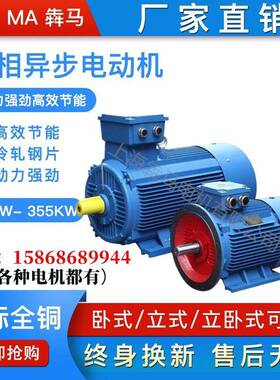 三相异步电动机YE2-250M-255W2P2级380V交流马达刹车变频电机